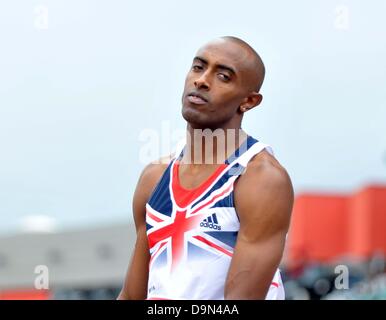 Gateshead, UK. 23. Juni 2013. Nathan Douglas (GBR). Herren Dreisprung. Tag2. Mannschafts-Meisterschaften. Bildnachweis: Sport In Bilder/Alamy Live-Nachrichten Stockfoto