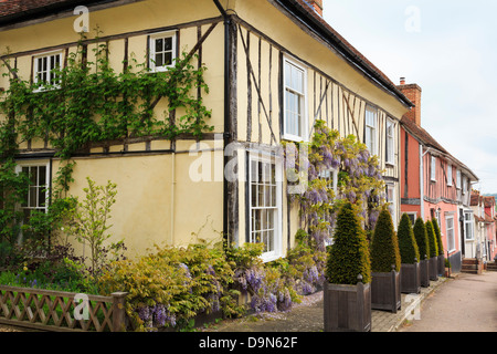 Wisteria Floribunda wächst auf Front gelb Fachwerkhaus im historischen Dorf Straße. Lavenham, Suffolk, England, Vereinigtes Königreich, Großbritannien Stockfoto