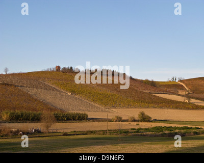 Hügel, Grazzano Badoglio, Piemont, Italien Stockfoto
