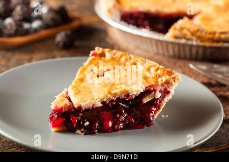Hausgemachte Bio-Beere Torte mit Blaubeeren und Brombeeren Stockfoto