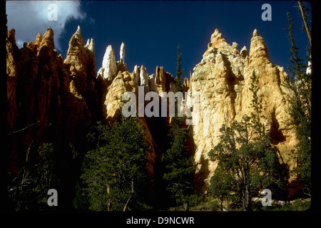 Der Bryce Canyon National Park in Utah ist berühmt für seine einzigartigen Felsformationen, die als Hoodoos bekannt sind. Diese turmähnlichen Strukturen entstehen durch Erosion und Frostkeilen. Der Park bietet Wanderwege, malerische Aussichtspunkte und eine vielfältige Tierwelt, was ihn zu einem beliebten Ziel für Outdoor-Aktivitäten und Naturerlebnisse macht. Stockfoto