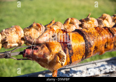 Ein Schwein braten und Rösten über einen Holzkohle Grill Hühner. Stockfoto