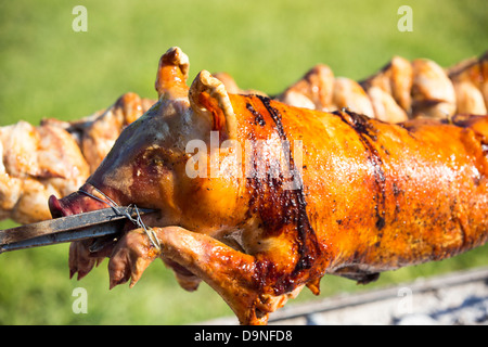 Ein Schwein braten und Rösten über einen Holzkohle Grill Hühner. Stockfoto