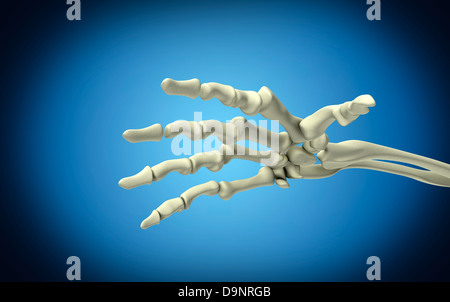 Konzeptbild von Knochen in Menschenhand. Stockfoto