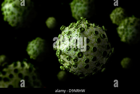Mikroskopische Ansicht des HIV-Virus. Stockfoto