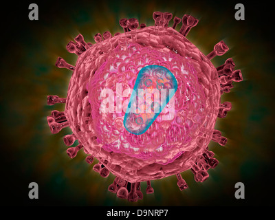Cluster des HIV-Virus. HIV ist dem Human Immunodeficiency Virus, das die erworbene Immunschwäche-Syndrom oder AIDS führen kann. Stockfoto