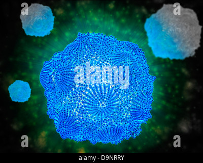 Mikroskopische Ansicht von Canine Parvovirus. Stockfoto