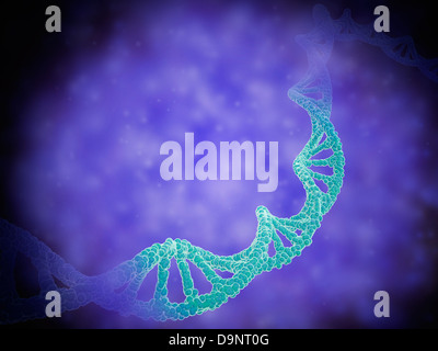 Stilisierte Ansicht von Stränge der menschlichen DNA oder Desoxyribonukleinsäure. Stockfoto