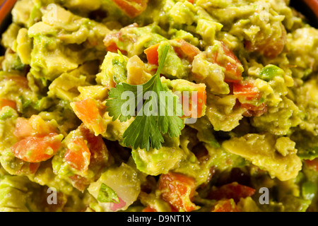 Hausgemachte Bio Guacamole gemacht mit Avacados und Tortilla Chips Stockfoto