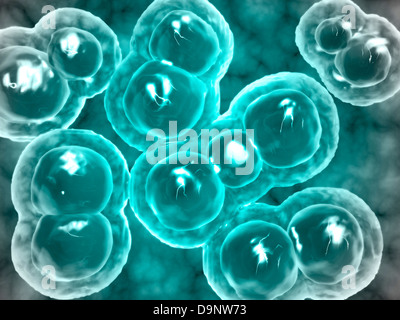 Mikroskopische Ansicht von Chlamydien. Chlamydia ist eine häufige sexuell übertragbare Krankheit (STD), die durch ein Bakterium verursacht. Stockfoto