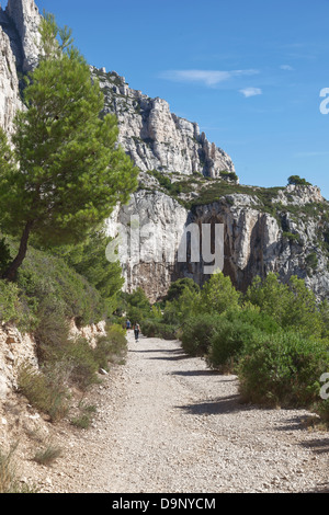 Pfad zur Calanque de Sugiton zwischen Marseille und Cassis, Provence, Frankreich Stockfoto