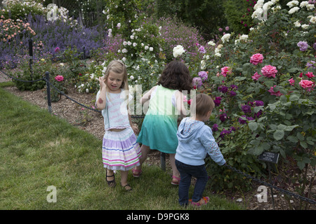 Junge Freunde genießen die Cranford Rosengarten in voller Blüte im Brooklyn Botanic Garden, Brooklyn, NY. Stockfoto