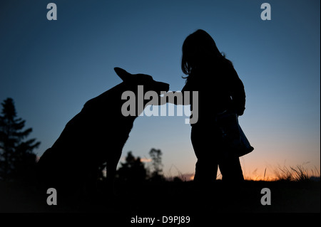 Sonnenuntergang Silhouette des jungen Kleinkind Mädchen mit langen Haaren, die Fütterung ihres Hundes, die sitzen. Rasse ist ein Australian Cattle Dog. Stockfoto