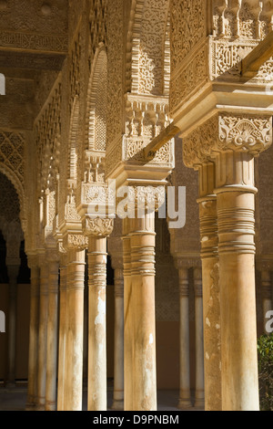 Spalte Kapital Detail. Hof der Löwen: Nasridenpaläste. Vierzehnten Jahrhundert. Alhambra, Granada, Spanien Stockfoto