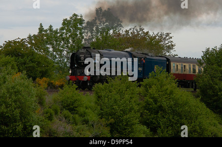Neue Build Peppercorn A1 Klasse Dampflok im schottischen Hochland in der Nähe von Inverness arbeiten die Kathedralen ausdrückliche railtour Stockfoto