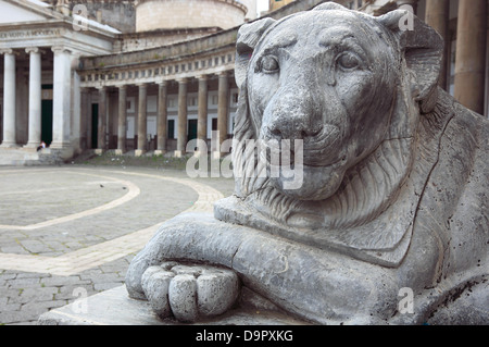 Die grinsenden Löwen an der Basilika di San Francesco di Paola in Piazza del Plebiscito, Neapel, Kampanien, Italien Stockfoto