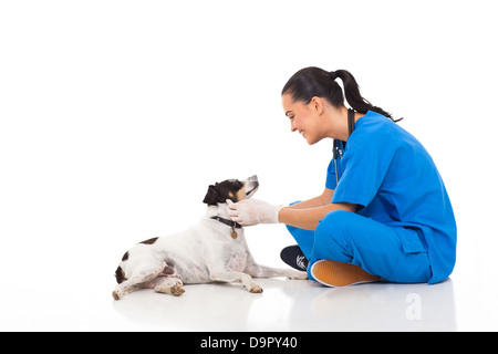 professionellen Tierarzt Doktor spielen mit Hund isoliert auf weiss Stockfoto