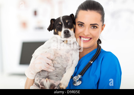 ziemlich Tierarzthelferin Holding Hund in Tierklinik Stockfoto