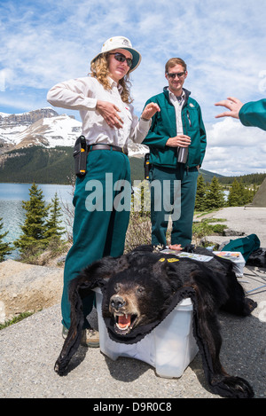 Tragen Sie Guardian Dolmetscher am Straßenrand Display am Bow Lake, Banff Nationalpark, Alberta, Kanada Stockfoto