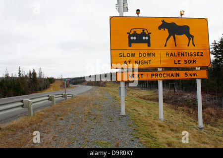 Elch Straße Gefahr Warnschild auf dem Trans Canada Highway in New Brunswick, Kanada Stockfoto