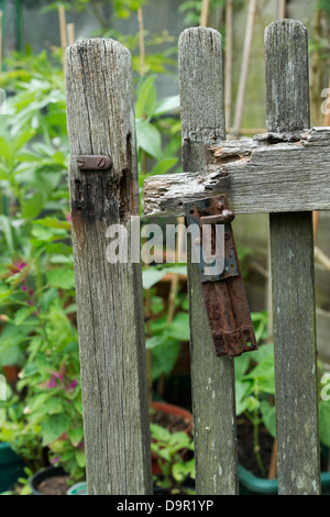 Alte verdorbene gebrochen Gartentor Stockfoto