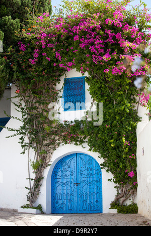 Blauen Türen, Fenster und weiße Wand der traditionellen Gebäude in Sidi Bou Said, Tunesien Stockfoto