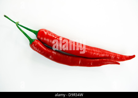 Rote Chilischoten auf weißem Hintergrund Stockfoto