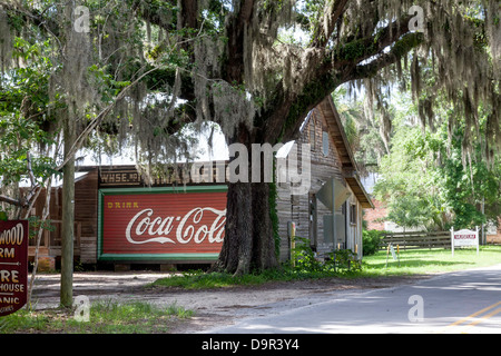 Klassische Coca-Cola Schild gemalt an der Seitenwand des alten Lagers Thrasher im historischen Bezirk von Micanopy, Florida. Stockfoto