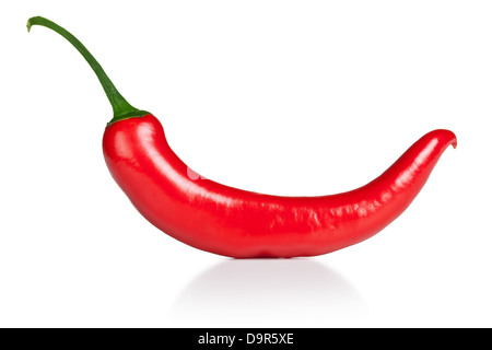 Red hot chili Pepper isoliert auf weißem Hintergrund. Makroaufnahme Stockfoto