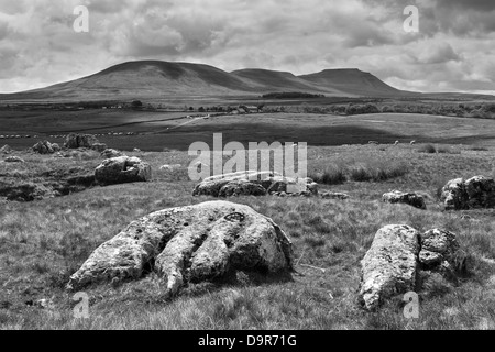 Kalkstein-Felsen liegen vor Ingleborough, einer der drei Zinnen Berge in den Yorkshire Dales National Park, UK Stockfoto