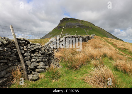 Der Blick in Richtung Pen-y-Gent, einer der drei Spitzen Bergen in den Yorkshire Dales, England Stockfoto