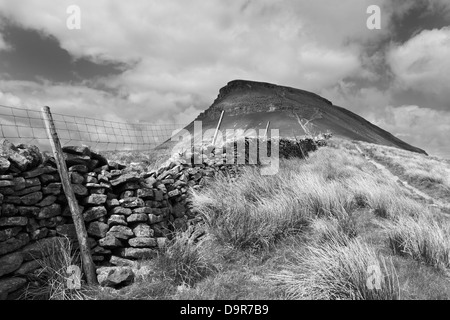 Der Blick in Richtung Pen-y-Gent, einer der drei Spitzen Bergen in den Yorkshire Dales, England Stockfoto