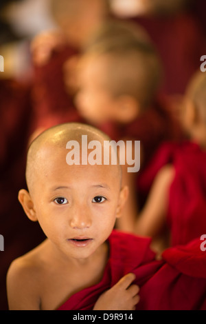 Mönche in der Shwezigon Paya, Bagan, Myanmar (Burma) Stockfoto