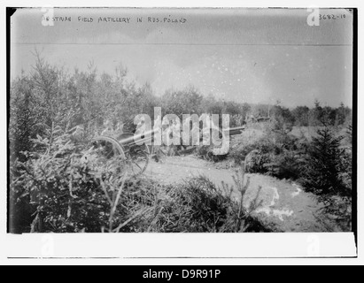 Österreichische Artillerie in Russ. [d. h. Russisch] Polen, 10.02.16 (LOC) Stockfoto