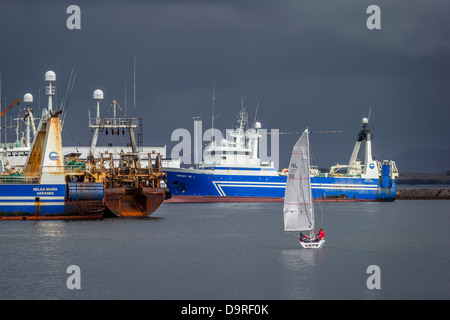 Segelboot und Fischkuttern im Hafen von Reykjavik, Island Stockfoto