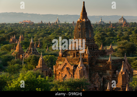 Ballons über die Tempel von Bagan in der Morgendämmerung, Myanmar (Burma) Stockfoto