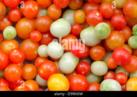 viele bunte Tomaten, volle Hintergrund. Stockfoto