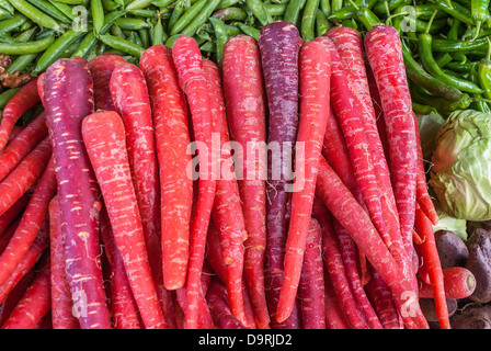 Schuss Gruppe Rot-Lila Karotten, hautnah das indische Gemüse. Stockfoto