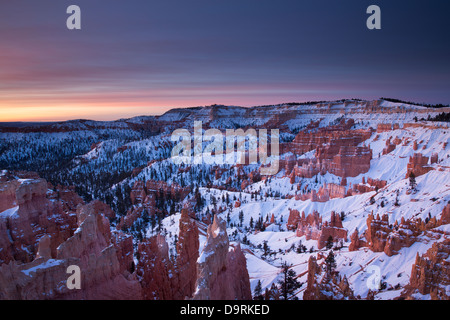 die Hoodoos im Amphitheater des Bryce Canyon an der Dämmerung, Utah, USA Stockfoto