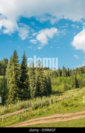 Natur von grünen Bäumen und blauen Himmel, unterwegs Medeo in Almaty, Kasachstan, Asien im Sommer Stockfoto