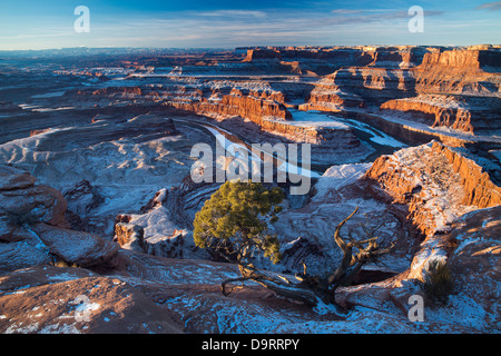 Das Colorado-Tal von Dead Horse Point an der Dämmerung, Utah, USA Stockfoto