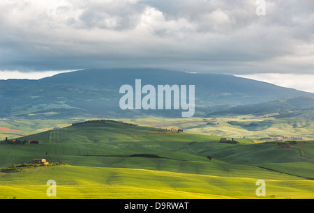 Hügelige Landschaft in der Nähe von Pienza, Toskana, Italien Stockfoto