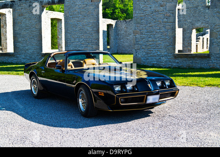 1979 Pontiac Sonderausgabe Trans Am Stockfoto