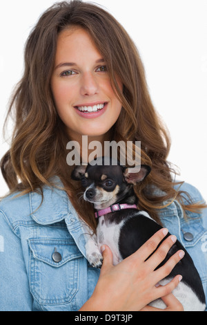 Hübsche Frau mit ihrem chihuahua Stockfoto