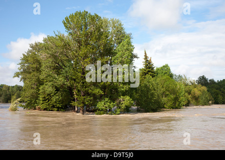 Bow River Hochwasser Überlauf des Prinzen-Insel-Park in der Innenstadt von Calgary Stockfoto