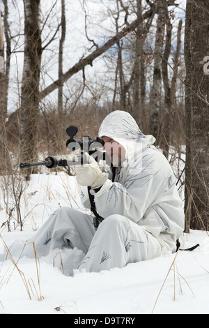 Kojote-Jagd im winter Stockfoto