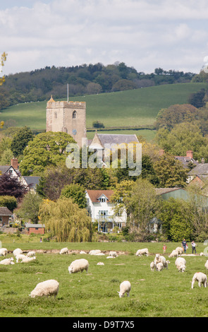 Blick über Felder, Leintwardine und der Kirche St. Mary Magdalene, Herefordshire, England, UK Stockfoto