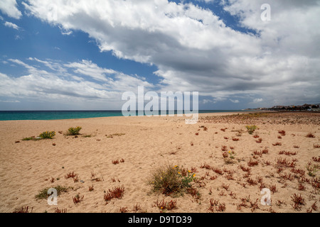 Malgrat de mar, Maresme, Katalonien, Spanien Stockfoto