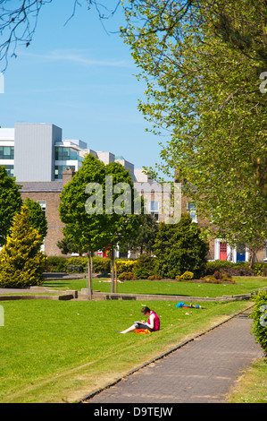 Pearse Square Park Docklands Bereich Dublin Irland Mitteleuropa Stockfoto