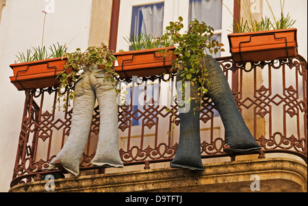 Hose gefüllt mit Erde sprießen Pflanzen, hängen von einem Balkon in Coimbra, Portugal. Stockfoto